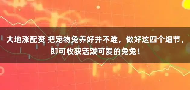 大地涨配资 把宠物兔养好并不难，做好这四个细节，即可收获活泼可爱的兔兔！