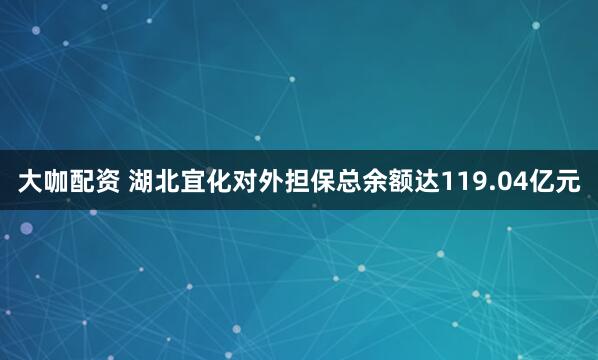大咖配资 湖北宜化对外担保总余额达119.04亿元
